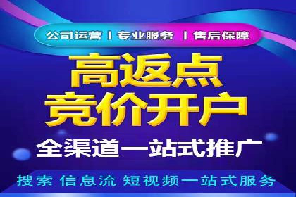 网络推广与竞价策略实战案例