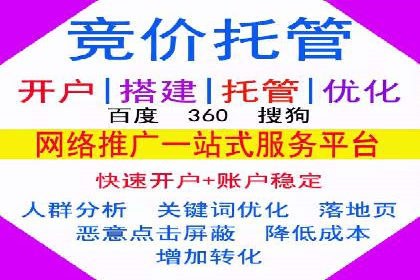 竞价推广中的着陆页策略：成功案例解读