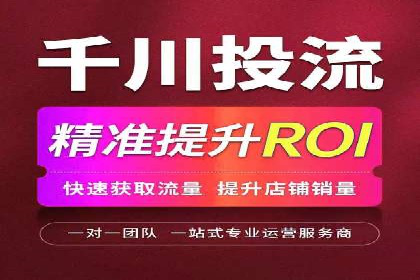 百度竞价推广在电商领域的赚钱案例